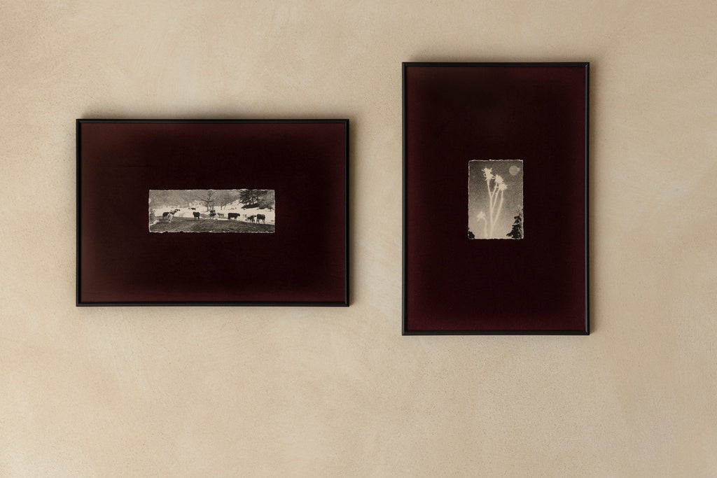'Pankisi Cows' Framed Photograph