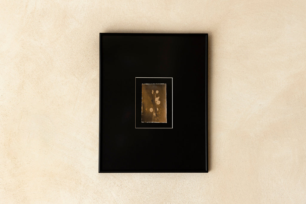 'The Stem' Framed Photograph