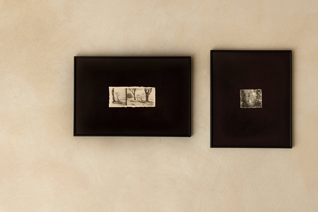 'Lisi Birds' Framed Photograph