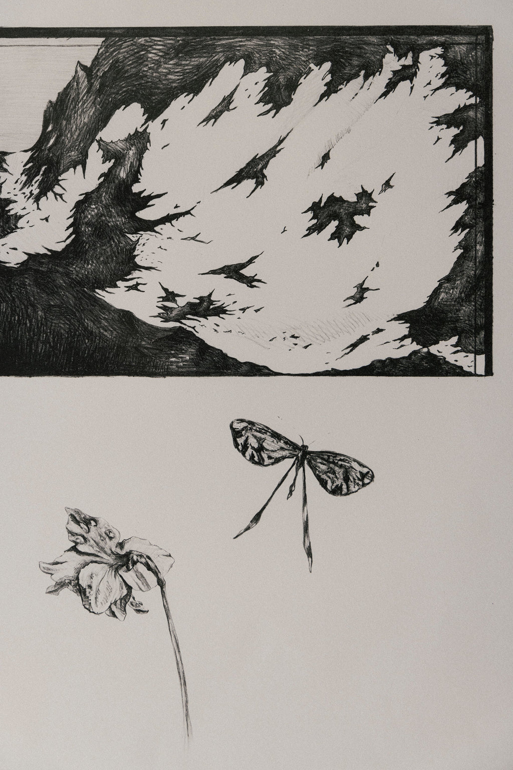 'Mountain, Butterfly, Flower' Lithography Print [with border]