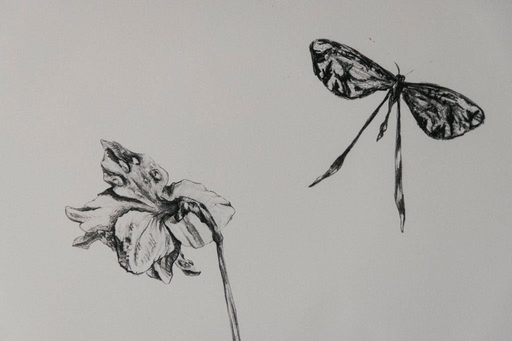 'Mountain, Butterfly, Flower' Lithography Print [with border]