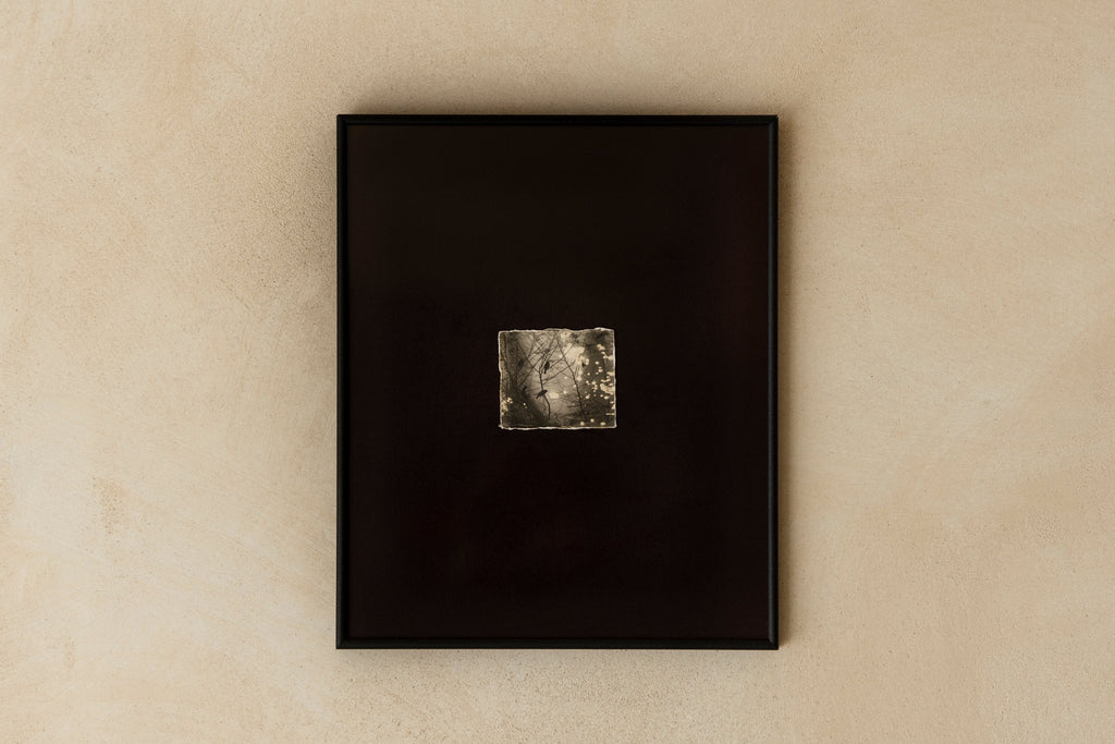 'Lisi Birds' Framed Photograph